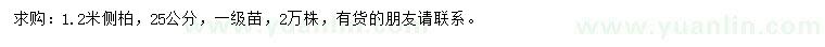 求購(gòu)1.2米側(cè)柏