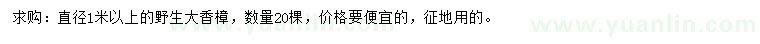 求購直徑1米以上香樟