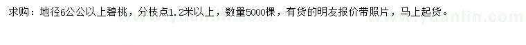 求購地徑6公公以上碧桃