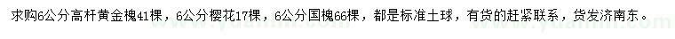 求購黃金槐、櫻花、國槐