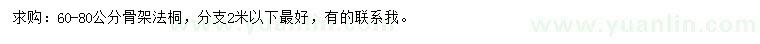 求購60-80公分法桐