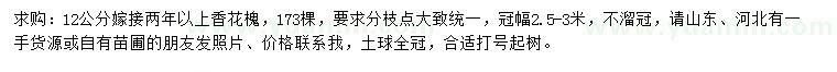 求購(gòu)12公分香花槐