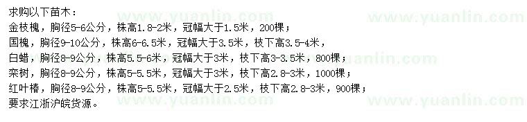求購(gòu)白蠟、欒樹(shù)、國(guó)槐等