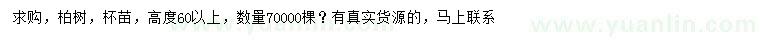 求購高60公分以上柏樹