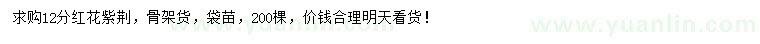 求購12公分紅花紫荊