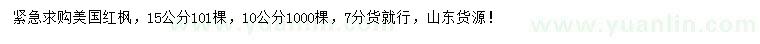 求購10、15公分美國紅楓