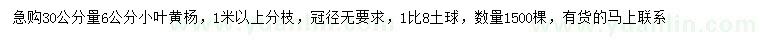 求購30量6公分小葉黃楊