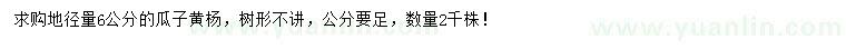 求購地徑6公分瓜子黃楊