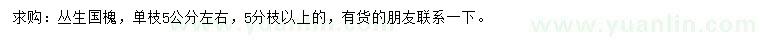 求購叢生國槐
