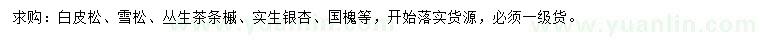 求購白皮松、雪松、叢生茶條槭等