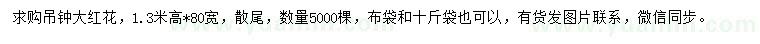 求購(gòu)高1.3米吊鐘大紅花