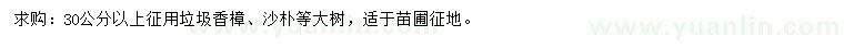 求購30公分以上香樟、沙樸