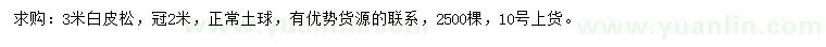 求購3米白皮松