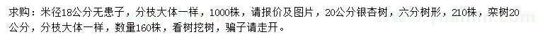 求購(gòu)無患子、銀杏、欒樹