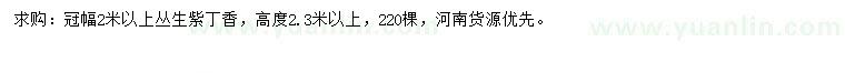 求購冠幅2米以上叢生紫丁香