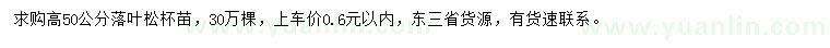 求購高50公分落葉松