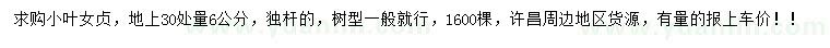 求購30量6公分小葉女貞
