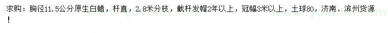求購胸徑11.5公分原生白蠟