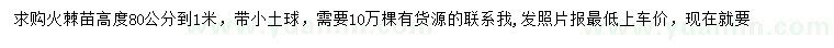 求購(gòu)高80-100公分火棘
