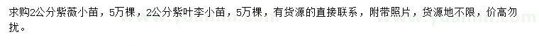 求購2公分紫薇、紫葉李