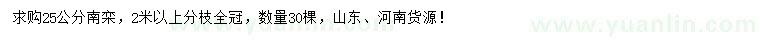 求購25公分南欒