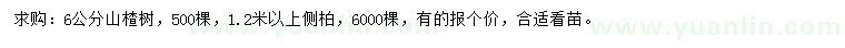 求購6公分山楂樹、1.2米以上側柏