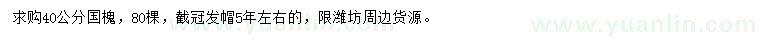 求購40公分國槐