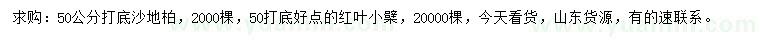 求購50公分打底沙地柏、紅葉小檗