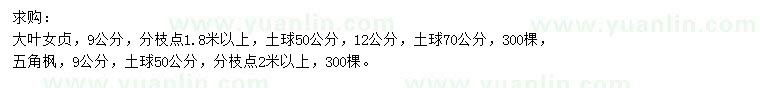 求購9、12公分大葉女貞、9公分五角楓