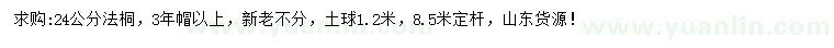 求購24公分法桐