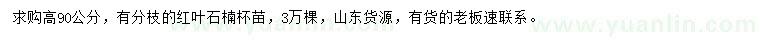 求購(gòu)高90公分紅葉石楠