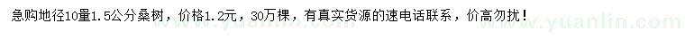求購(gòu)地徑10量1.5公分桑樹