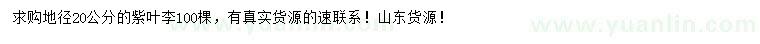 求購(gòu)地徑20公分紫葉李