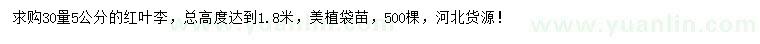 求購30量5公分紅葉李