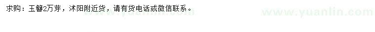 求購玉簪