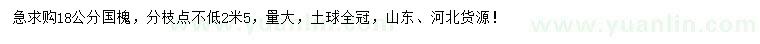 求購(gòu)18公分國(guó)槐