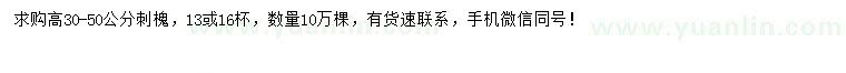 求購(gòu)高30-50公分刺槐