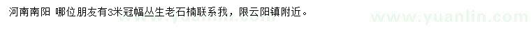 求購冠幅3米叢生石楠