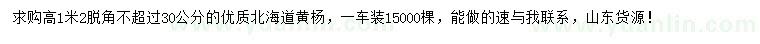 求購(gòu)高1.2米北海道黃楊