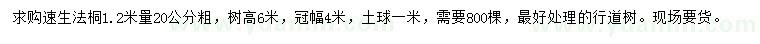 求購1.2米量20公分速生法桐