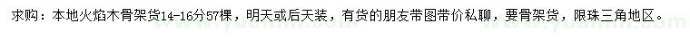 求購14-16公分火焰木