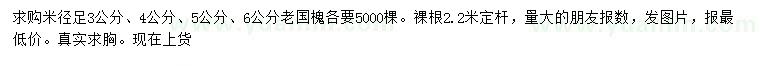 求購米徑足3、4、5、6公分國槐