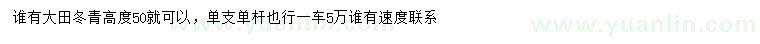 求購(gòu)高50公分冬青