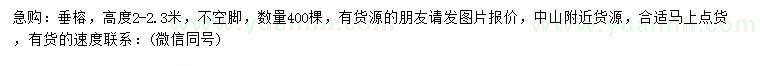 求購高2-2.3米垂榕