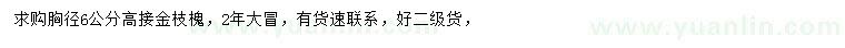 求購(gòu)胸徑6公分金枝槐