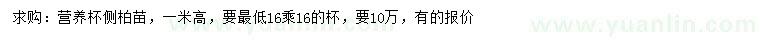 求購高1米側(cè)柏