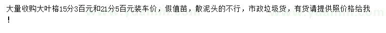 求購15、21公分大葉榕