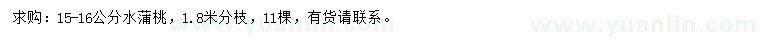 求購(gòu)15-16公分水蒲桃