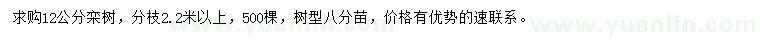 求購(gòu)12公分欒樹