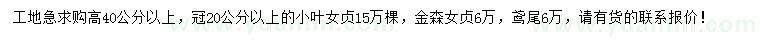 求購小葉女貞、金森女貞、鳶尾